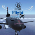 Real Flight Simulator